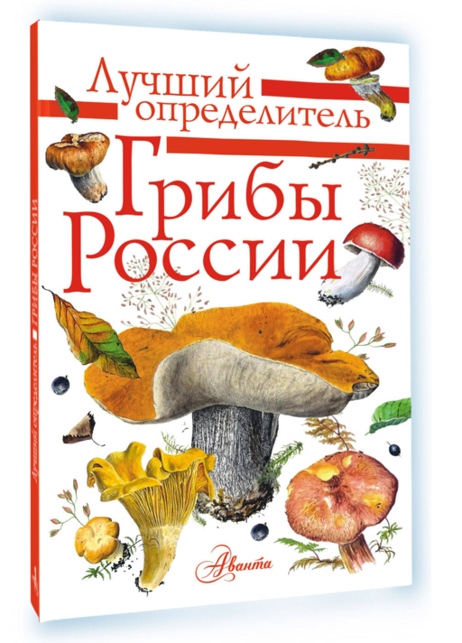 Грибы России. Определитель