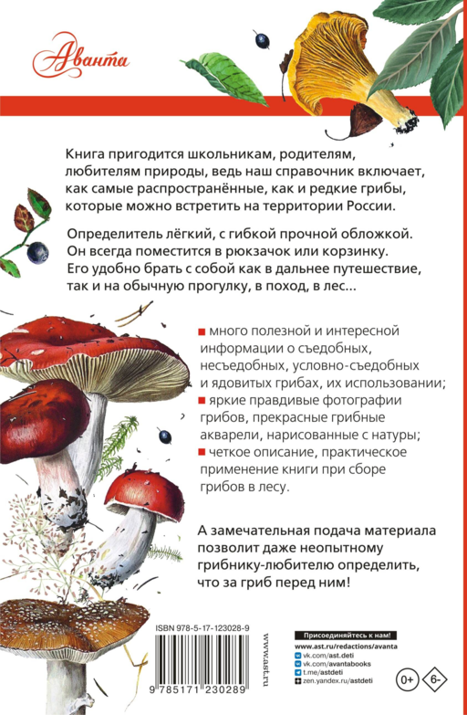 Грибы России. Определитель
