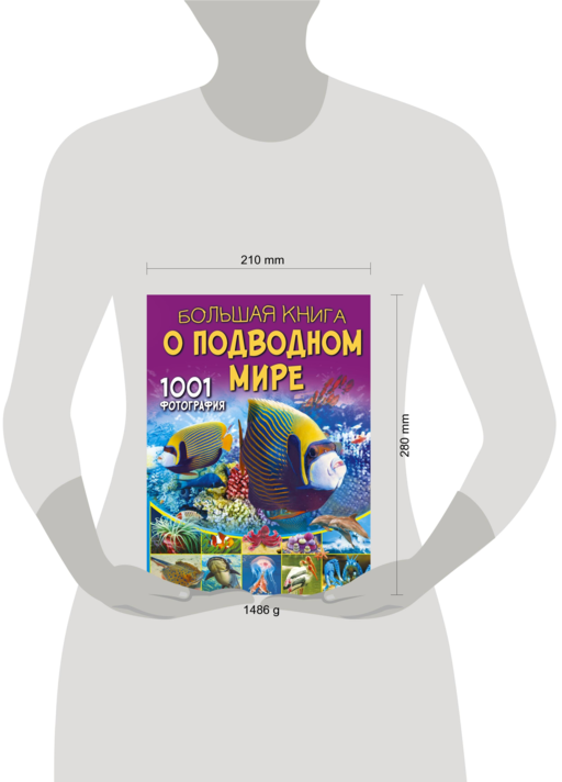 Большая книга о подводном мире. 1001 фотография