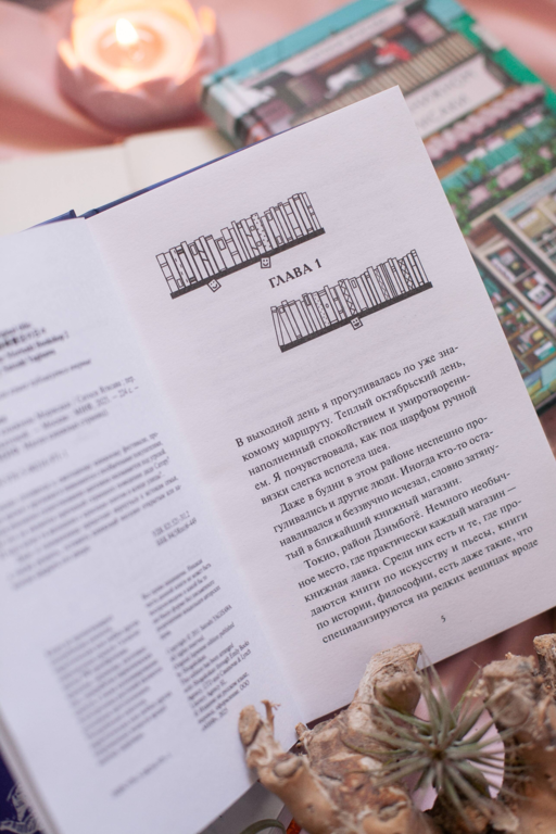 Вечера в книжном Морисаки