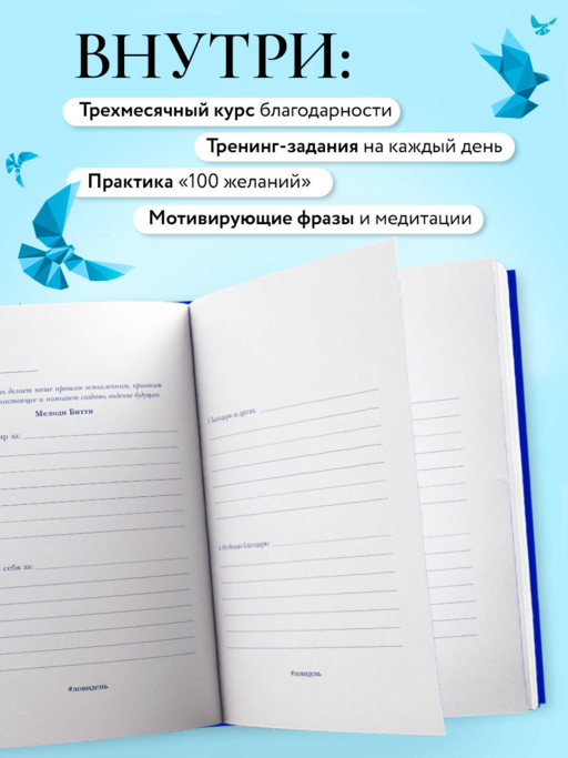 Лови день. Дневник благодарности (подарочное оформление с золотой фольгой)