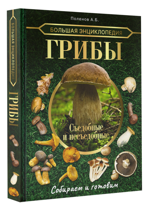 Большая энциклопедия. Грибы. Съедобные и несъедобные. Собираем и готовим.