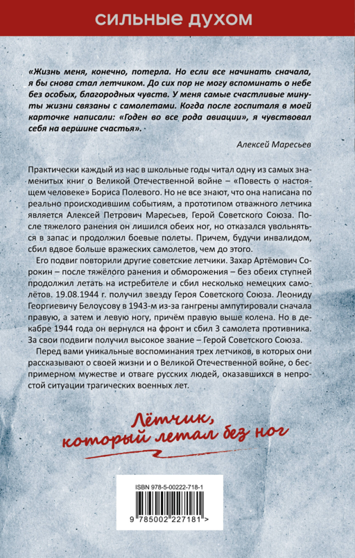 В небе над Курском. Реальный герой