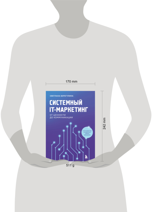 Системный IT-маркетинг: от ценности до коммуникации