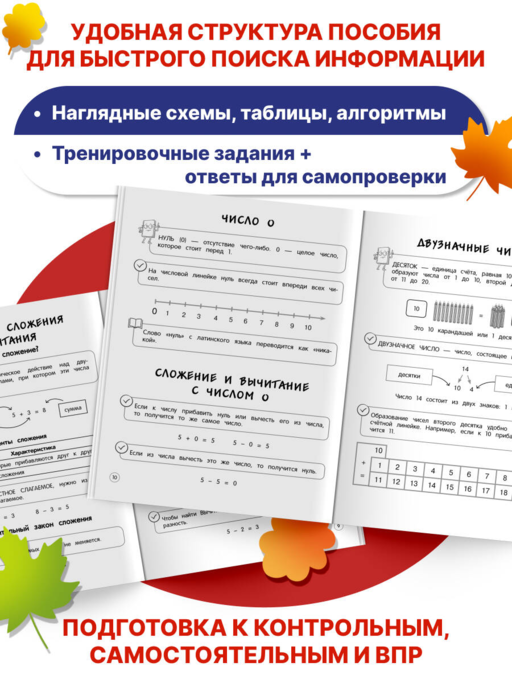 Математика. Теория, примеры, задания. 1-4 классы