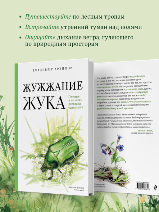 Жужжание жука. Полевые и не очень дневники орнитолога