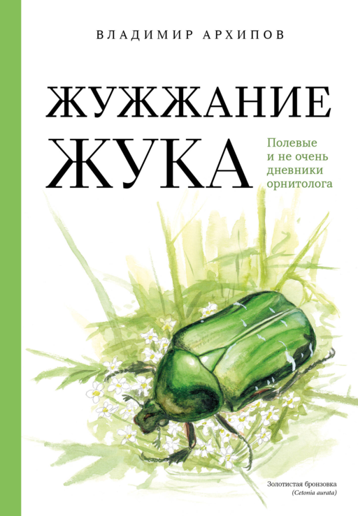 Жужжание жука. Полевые и не очень дневники орнитолога