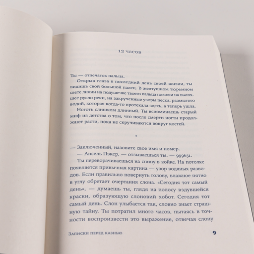 Записки перед казнью