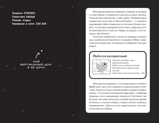 МультиКосмос. Книга 1. Виртуальные приключения с киркой и лопатой