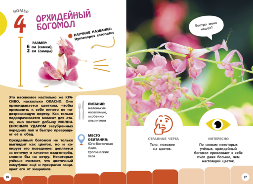 Самые необычные животные и места мира