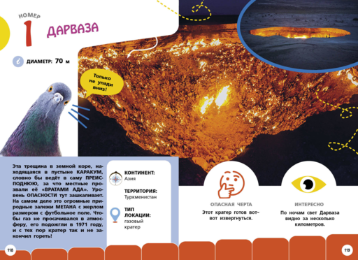 Самые необычные животные и места мира