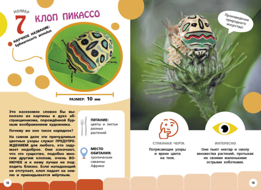 Самые необычные животные и места мира