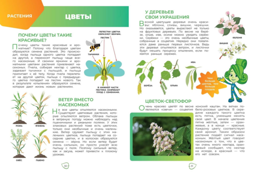 Фиксики. Как все устроено? Главные знания о мире