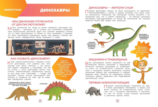 Фиксики. Как все устроено? Главные знания о мире