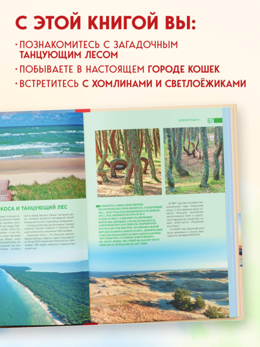 Чарующий Калининград. Самые красивые места края янтаря, которые обязательно нужно посетить