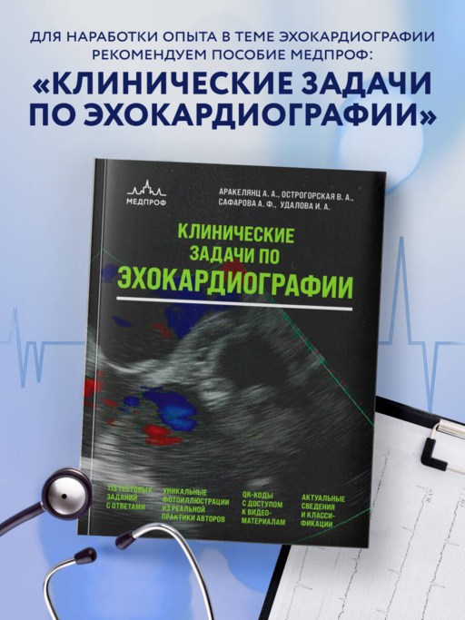 Эхокардиография для начинающих. Суть гемодинамических нарушений, позиции для анализа, определение тяжести порока. 2-е издание, исправленное и дополненное
