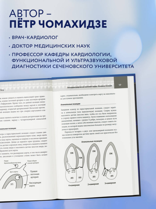 Эхокардиография для начинающих. Суть гемодинамических нарушений, позиции для анализа, определение тяжести порока. 2-е издание, исправленное и дополненное