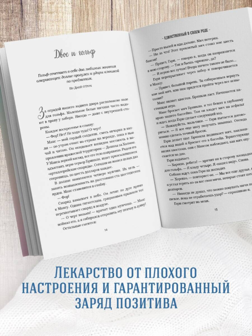 Куриный бульон для души. Не могу поверить, что это сделала моя собака! 101 история об удивительных выходках любимых питомцев