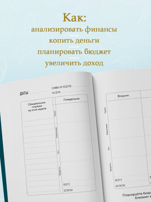 Деньги - брызги. Блокнот планирования бюджета