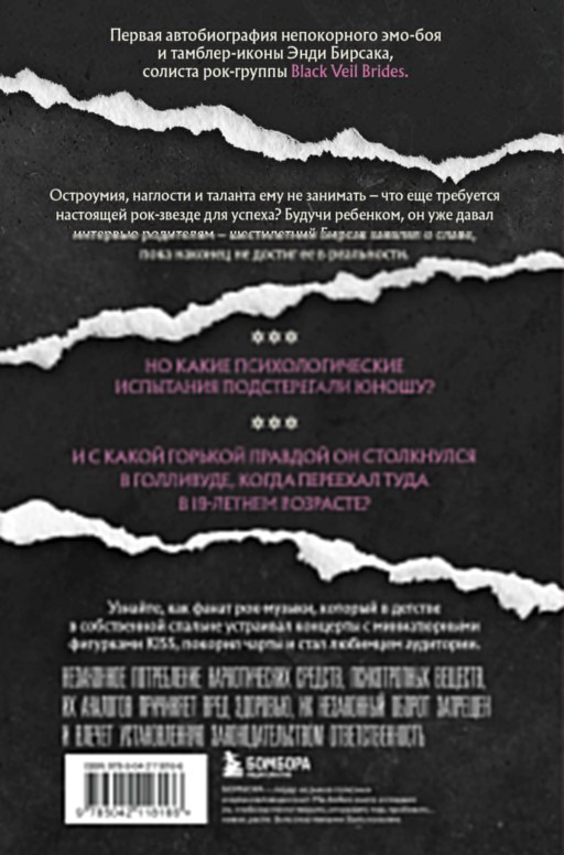 Они не поймут эти истории: Вдохновляющая автобиография солиста Black Veil Brides Энди Бирсака