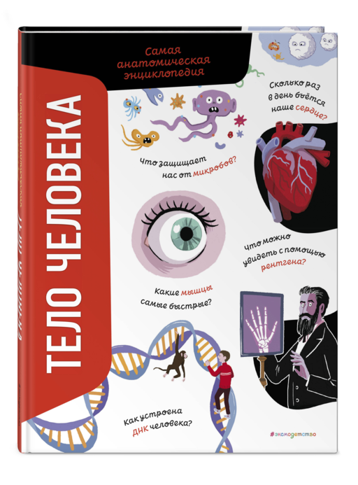 Тело человека. Самая анатомическая энциклопедия