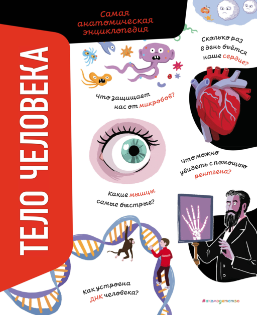İnsan Vücudu. En Anatomik Ansiklopedi