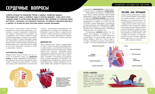 Тело человека. Самая анатомическая энциклопедия