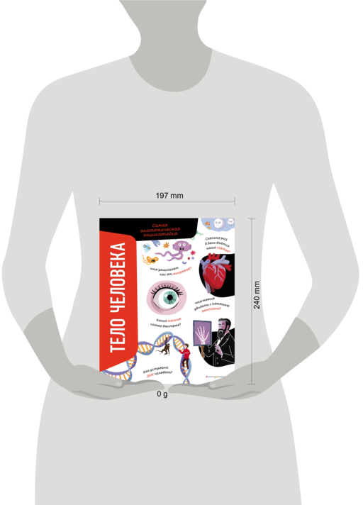 Тело человека. Самая анатомическая энциклопедия