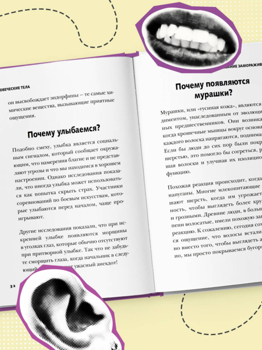 Безумное тело. Самые забавные и неочевидные факты о человеческом теле