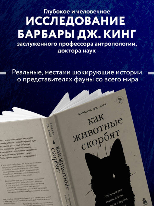 Как животные скорбят. Что чувствуют кошки, слоны, дельфины и другие, теряя близких
