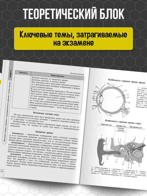Биология