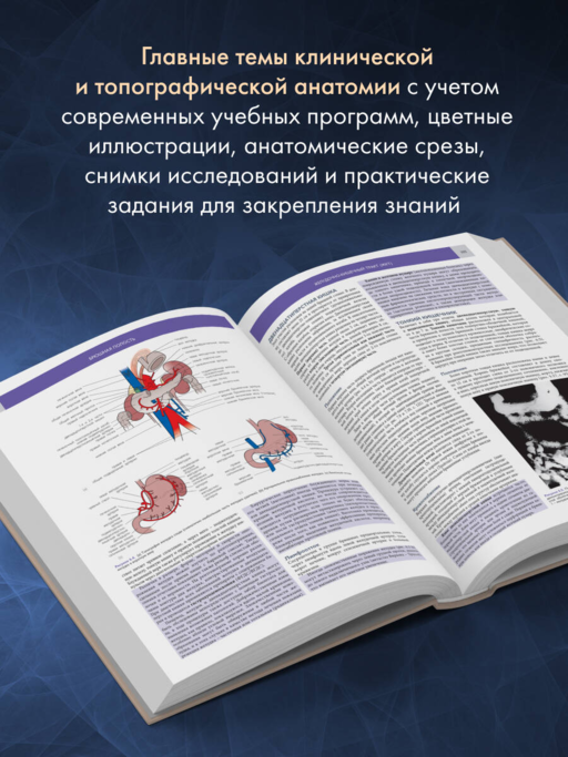 Основы клинической анатомии. Иллюстрированный атлас нозологий и патологий