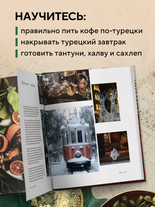 Из Турции с любовью. Турецкая кухня от Стамбула до Мардина