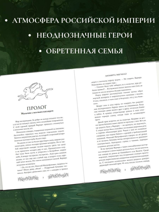 Брусничное Солнце
