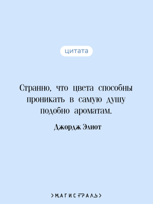 Мидлмарч