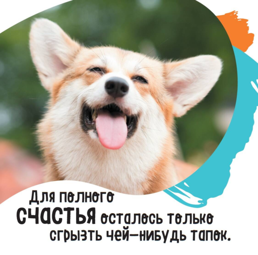 А кто у нас такой красивый? Календарь настенный на 2026 год (300х300)