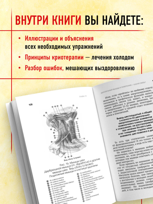Протрузия, грыжа, спондилоартроз - оперировать нельзя лечить