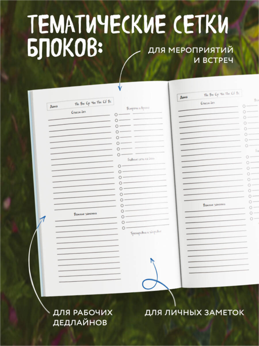 Синие коты. Рыбное место. Ежедневник недатированный (А5, 72 л.)