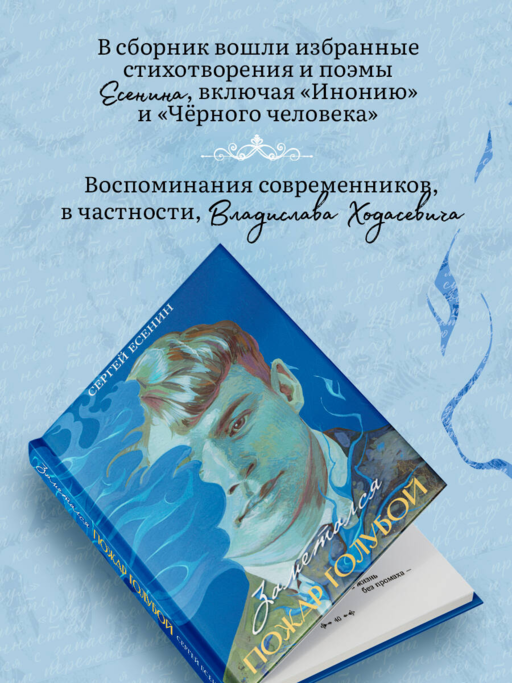 Заметался пожар голубой. Стихотворения