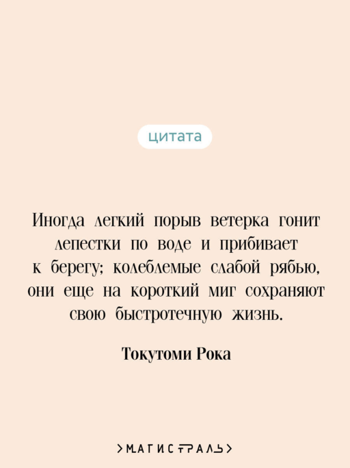 Куросиво