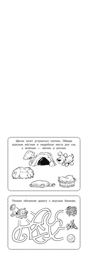 Увлекательные игры на каждый день