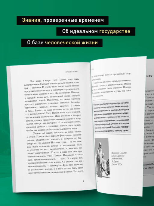 Государство. Диалоги. Философия для начинающих с комментариями и иллюстрациями