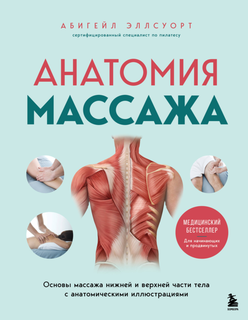 Анатомия массажа. Основы массажа нижней и верхней части тела с анатомическими иллюстрациями