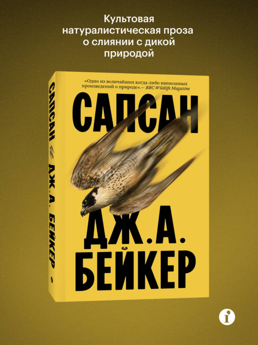 Сапсан