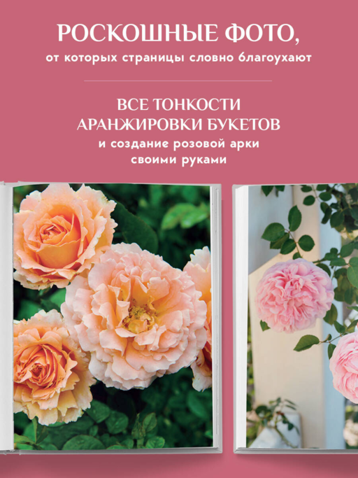 Садовые розы. Полное руководство по выращиванию, уходу и созданию потрясающих букетов