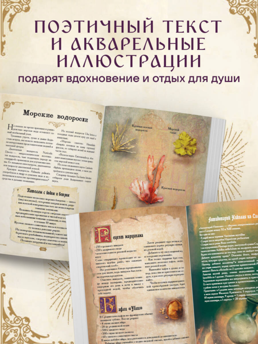 Травология Средневековья. Чудодейственные растения, древние рецепты и непостижимые тайны трав