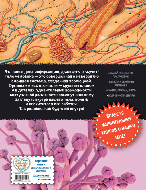 Тело человека. Виртуальная реальность_С
