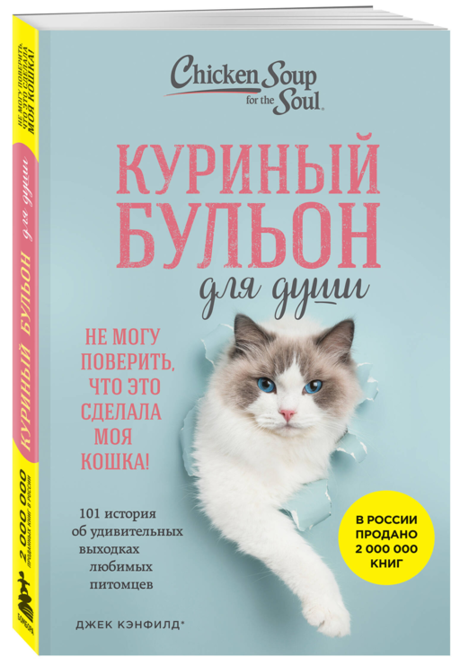 Куриный бульон для души. Не могу поверить, что это сделала моя кошка! 101 история об удивительных выходках любимых питомцев