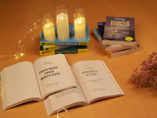 Куриный бульон для души. Не могу поверить, что это сделала моя кошка! 101 история об удивительных выходках любимых питомцев