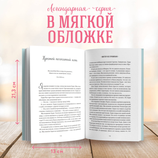 Куриный бульон для души. Не могу поверить, что это сделала моя кошка! 101 история об удивительных выходках любимых питомцев
